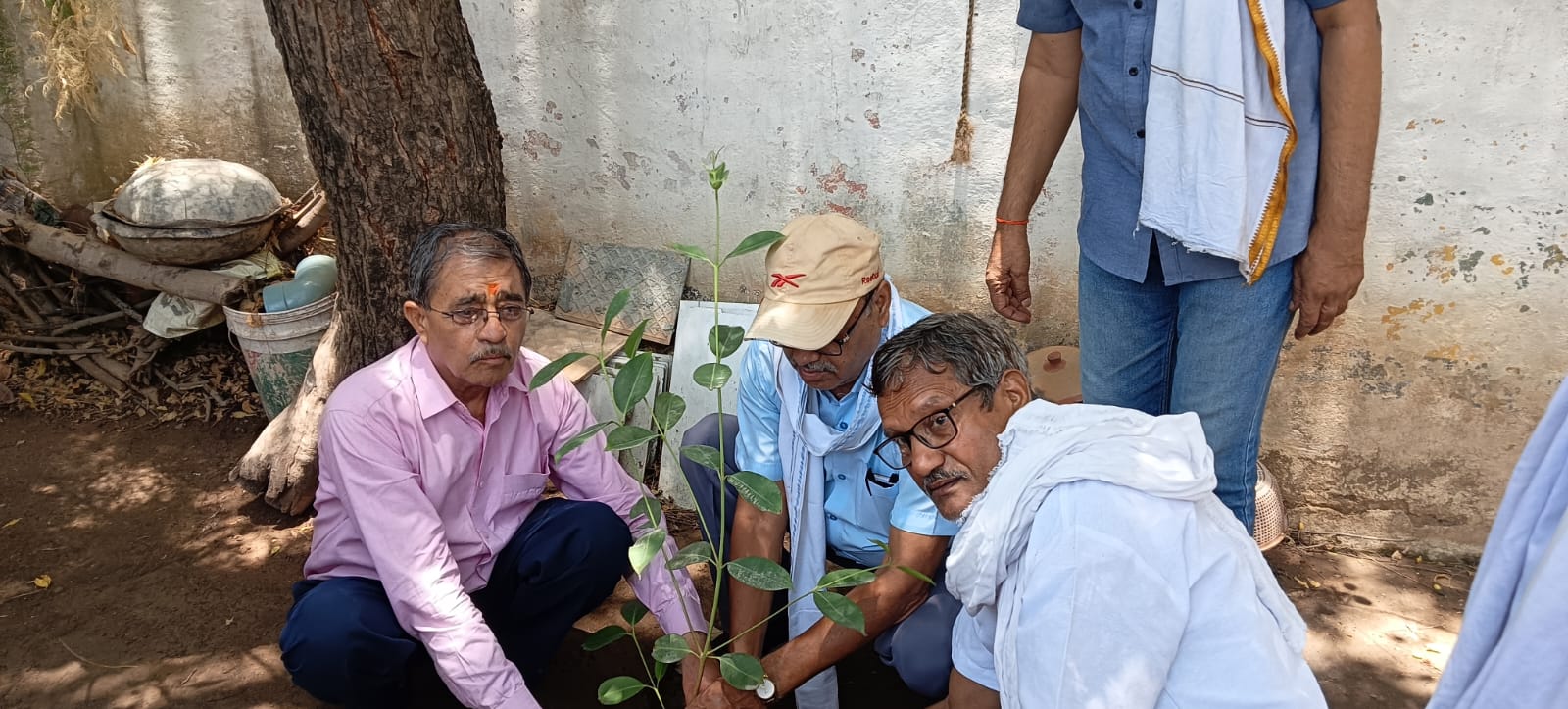 वरिष्ठ नागरिक पेंशनर सेवा संस्थान ने वृक्षारोपण कर मनाया मुख्यमंत्री का जन्मदिन, रोपे 111 पौधे